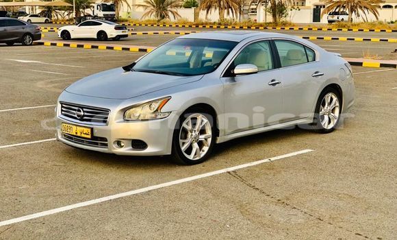 Buy Used Nissan Maxima Silver Car in al–Buraymi in adh-Dhahirah Buy Used Nissan Maxima Silver Car in al–Buraymi in adh-Dhahirah
