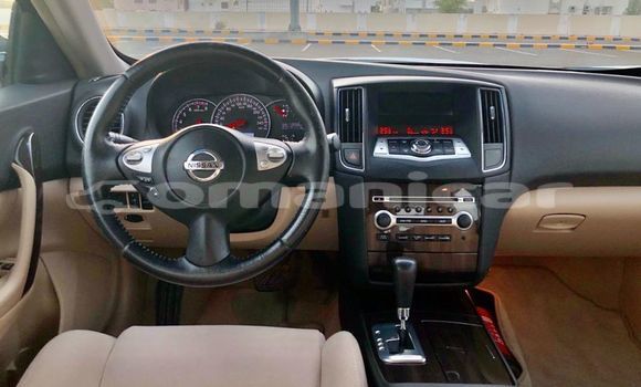 Buy Used Nissan Maxima Silver Car in al–Buraymi in adh-Dhahirah Buy Used Nissan Maxima Silver Car in al–Buraymi in adh-Dhahirah