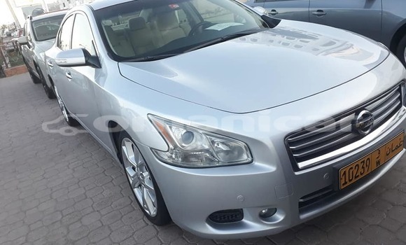 Buy Used Nissan Maxima Silver Car in al–Buraymi in adh-Dhahirah Buy Used Nissan Maxima Silver Car in al–Buraymi in adh-Dhahirah