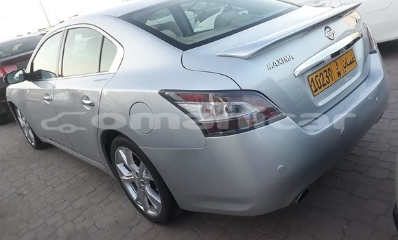 Buy Used Nissan Maxima Silver Car in al–Buraymi in adh-Dhahirah Buy Used Nissan Maxima Silver Car in al–Buraymi in adh-Dhahirah