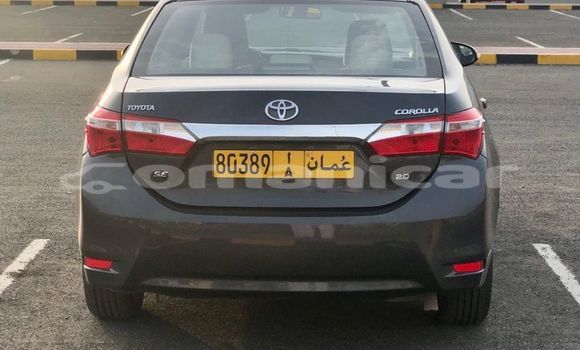 Buy Used Toyota Corolla Black Car in al–Buraymi in adh-Dhahirah Buy Used Toyota Corolla Black Car in al–Buraymi in adh-Dhahirah
