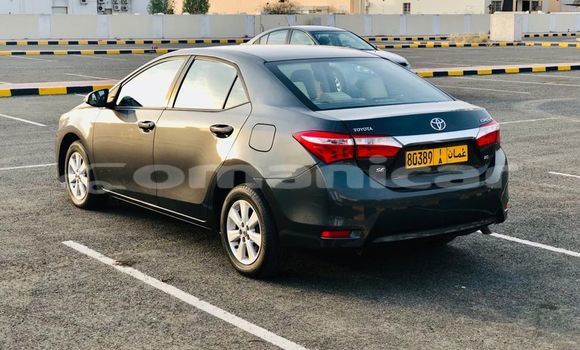 Buy Used Toyota Corolla Black Car in al–Buraymi in adh-Dhahirah Buy Used Toyota Corolla Black Car in al–Buraymi in adh-Dhahirah