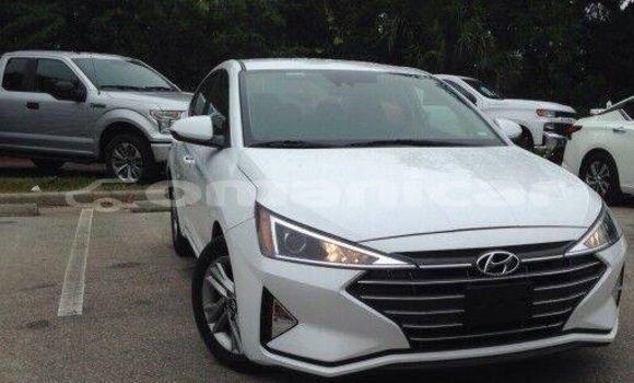 Buy Used Hyundai Elantra White Car in Muscat in Masqat