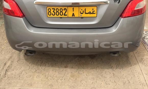Buy Used Nissan Maxima Other Car in as–Suwayq in al-Batinah Buy Used Nissan Maxima Other Car in as–Suwayq in al-Batinah