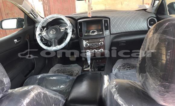 Buy Used Nissan Maxima Other Car in as–Suwayq in al-Batinah Buy Used Nissan Maxima Other Car in as–Suwayq in al-Batinah