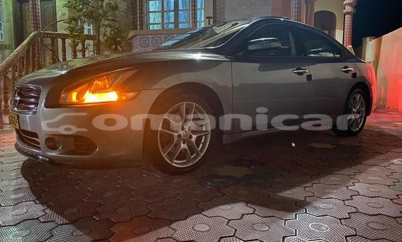 Buy Used Nissan Maxima Other Car in as–Suwayq in al-Batinah Buy Used Nissan Maxima Other Car in as–Suwayq in al-Batinah