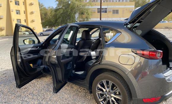Buy Used Mazda CX-5 Other Car in Muscat in Masqat Buy Used Mazda CX-5 Other Car in Muscat in Masqat