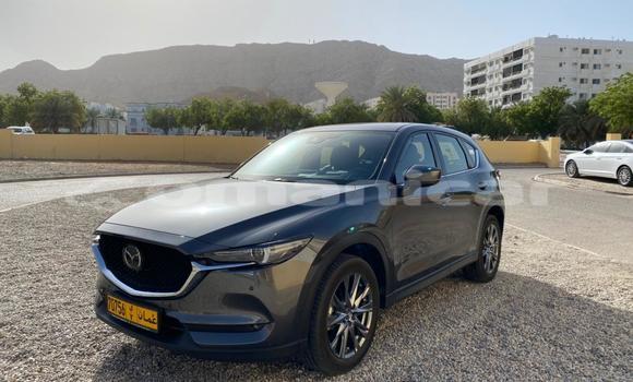 Buy Used Mazda CX-5 Other Car in Muscat in Masqat Buy Used Mazda CX-5 Other Car in Muscat in Masqat