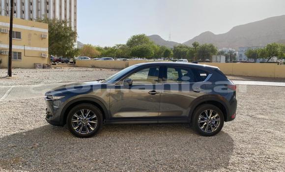 Buy Used Mazda CX-5 Other Car in Muscat in Masqat Buy Used Mazda CX-5 Other Car in Muscat in Masqat