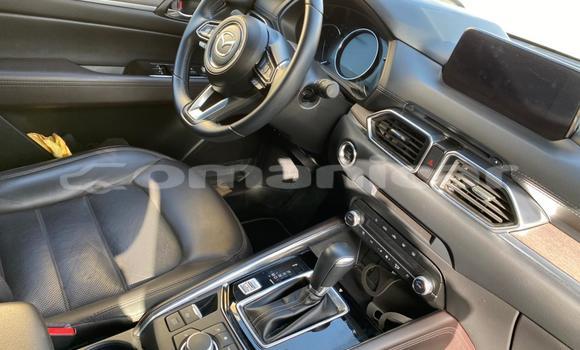 Buy Used Mazda CX-5 Other Car in Muscat in Masqat Buy Used Mazda CX-5 Other Car in Muscat in Masqat