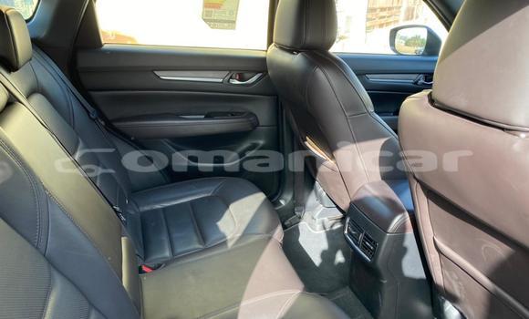 Buy Used Mazda CX-5 Other Car in Muscat in Masqat Buy Used Mazda CX-5 Other Car in Muscat in Masqat