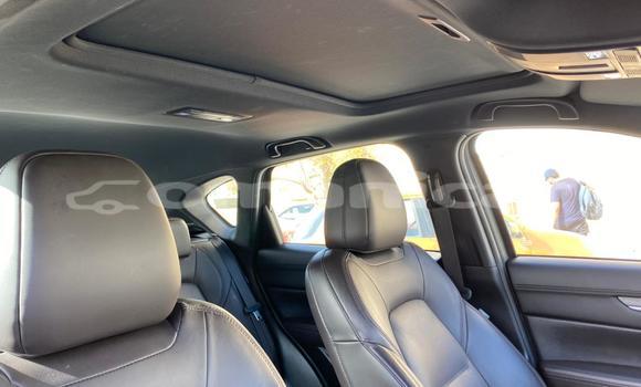 Buy Used Mazda CX-5 Other Car in Muscat in Masqat Buy Used Mazda CX-5 Other Car in Muscat in Masqat