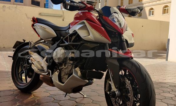 Buy Used Mv Agusta Rivale Red Bike in Import - Dubai in Dhufar