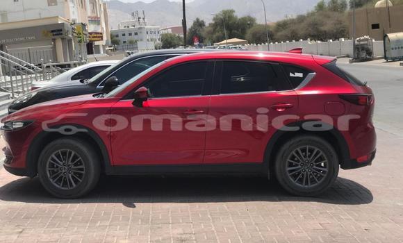 Buy Used Mazda CX-5 Red Car in Muscat in Masqat Buy Used Mazda CX-5 Red Car in Muscat in Masqat