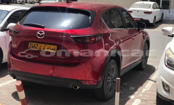 Buy Used Mazda CX-5 Red Car in Muscat in Masqat Buy Used Mazda CX-5 Red Car in Muscat in Masqat