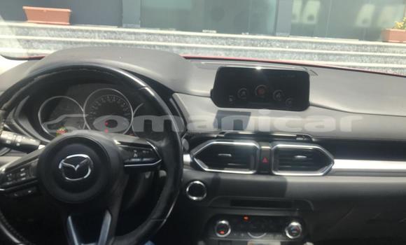 Buy Used Mazda CX-5 Red Car in Muscat in Masqat Buy Used Mazda CX-5 Red Car in Muscat in Masqat
