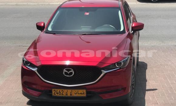 Buy Used Mazda CX-5 Red Car in Muscat in Masqat Buy Used Mazda CX-5 Red Car in Muscat in Masqat