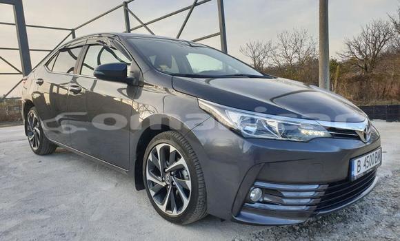 Buy Used Toyota Corolla Other Car in Muscat in Masqat Buy Used Toyota Corolla Other Car in Muscat in Masqat