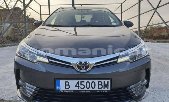 Buy Used Toyota Corolla Other Car in Muscat in Masqat Buy Used Toyota Corolla Other Car in Muscat in Masqat