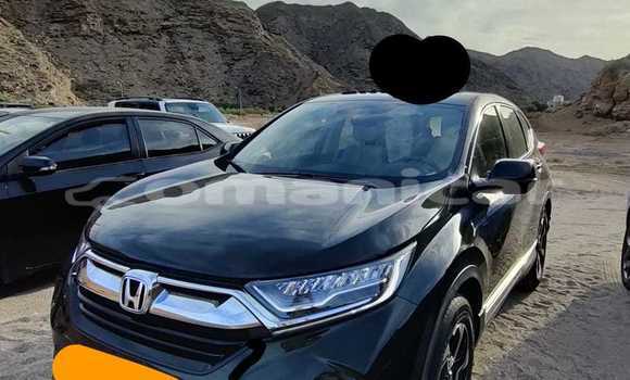 Buy Used Honda CR–V Green Car in Muttrah in Masqat Buy Used Honda CR–V Green Car in Muttrah in Masqat