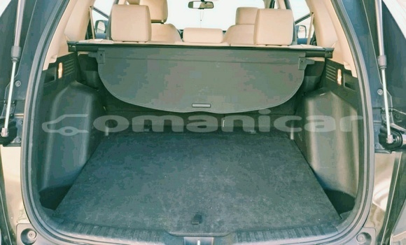 Buy Used Honda CR–V Green Car in Muttrah in Masqat Buy Used Honda CR–V Green Car in Muttrah in Masqat