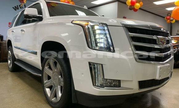 Buy Used Cadillac Escalade Other Car in Muscat in Masqat