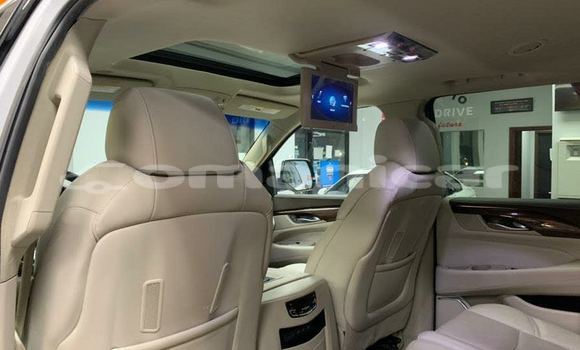 Buy Used Cadillac Escalade Other Car in Muscat in Masqat Buy Used Cadillac Escalade Other Car in Muscat in Masqat