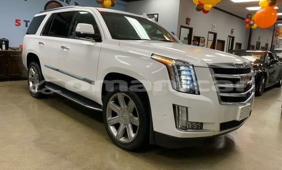 Buy Used Cadillac Escalade Other Car in Muscat in Masqat Buy Used Cadillac Escalade Other Car in Muscat in Masqat