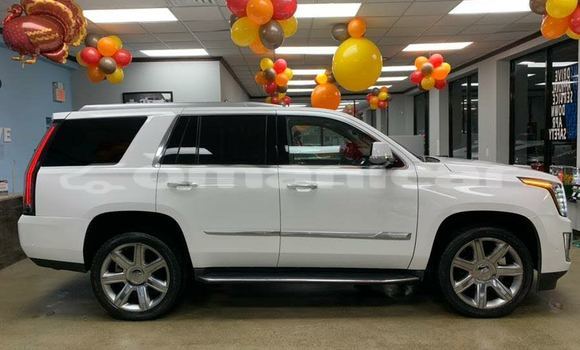 Buy Used Cadillac Escalade Other Car in Muscat in Masqat Buy Used Cadillac Escalade Other Car in Muscat in Masqat