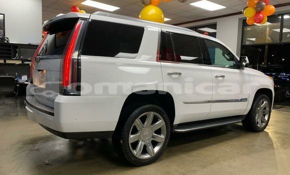 Buy Used Cadillac Escalade Other Car in Muscat in Masqat Buy Used Cadillac Escalade Other Car in Muscat in Masqat