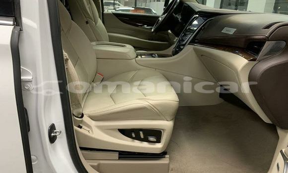 Buy Used Cadillac Escalade Other Car in Muscat in Masqat Buy Used Cadillac Escalade Other Car in Muscat in Masqat