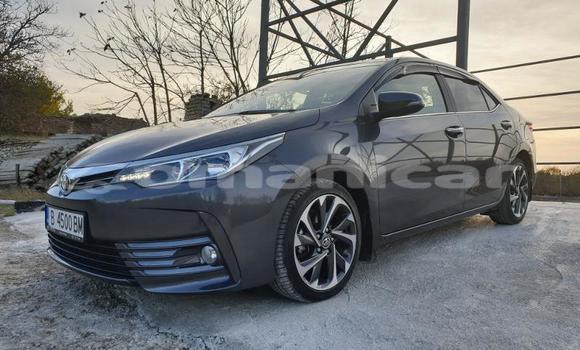 Buy Used Toyota Corolla Other Car in Muscat in Masqat Buy Used Toyota Corolla Other Car in Muscat in Masqat