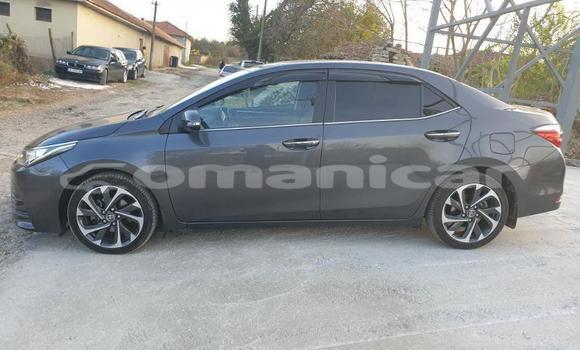 Buy Used Toyota Corolla Other Car in Muscat in Masqat Buy Used Toyota Corolla Other Car in Muscat in Masqat