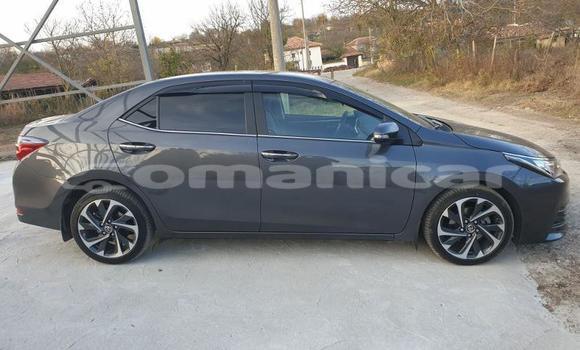 Buy Used Toyota Corolla Other Car in Muscat in Masqat Buy Used Toyota Corolla Other Car in Muscat in Masqat