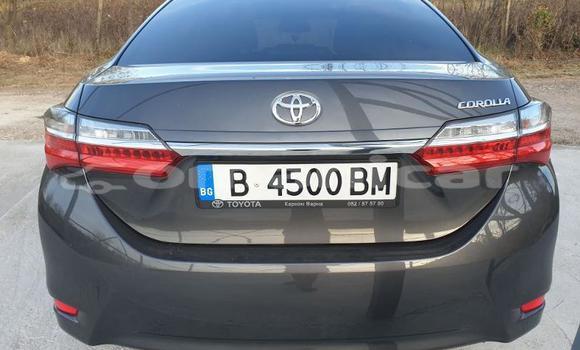 Buy Used Toyota Corolla Other Car in Muscat in Masqat Buy Used Toyota Corolla Other Car in Muscat in Masqat