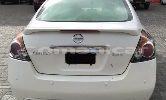 Buy Used Nissan Altima White Car in Bahla' in ad-Dakhiliyah Buy Used Nissan Altima White Car in Bahla' in ad-Dakhiliyah