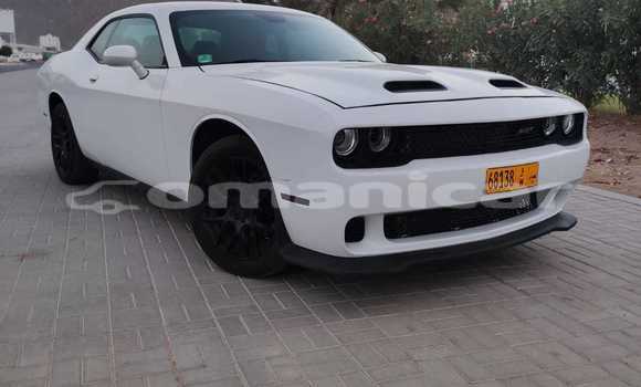 Buy New Dodge Challenger White Car in Masqat in Masqat Buy New Dodge Challenger White Car in Masqat in Masqat