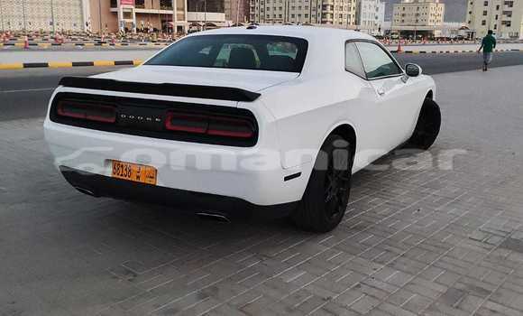 Buy New Dodge Challenger White Car in Masqat in Masqat Buy New Dodge Challenger White Car in Masqat in Masqat