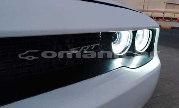 Buy New Dodge Challenger White Car in Masqat in Masqat Buy New Dodge Challenger White Car in Masqat in Masqat