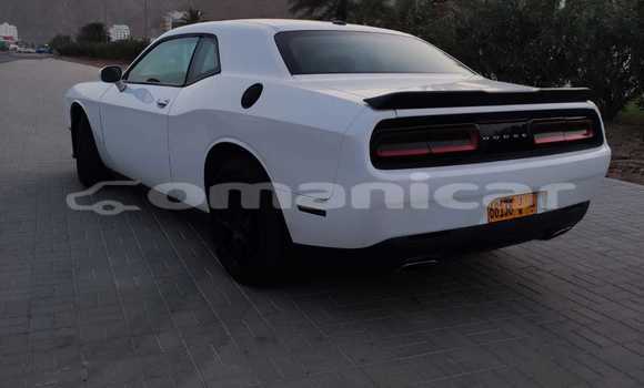 Buy New Dodge Challenger White Car in Masqat in Masqat Buy New Dodge Challenger White Car in Masqat in Masqat