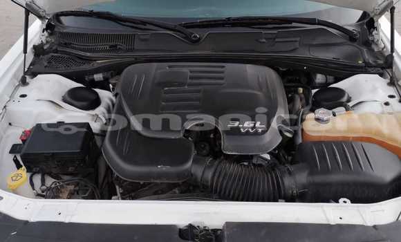 Buy New Dodge Challenger White Car in Masqat in Masqat Buy New Dodge Challenger White Car in Masqat in Masqat