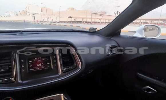 Buy New Dodge Challenger White Car in Masqat in Masqat Buy New Dodge Challenger White Car in Masqat in Masqat