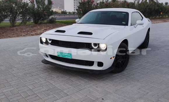 Buy New Dodge Challenger White Car in Masqat in Masqat Buy New Dodge Challenger White Car in Masqat in Masqat