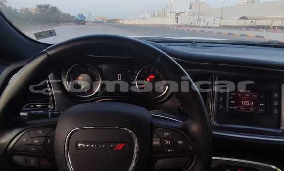 Buy New Dodge Challenger White Car in Masqat in Masqat Buy New Dodge Challenger White Car in Masqat in Masqat