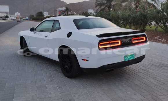 Buy New Dodge Challenger White Car in Masqat in Masqat Buy New Dodge Challenger White Car in Masqat in Masqat