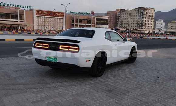 Buy New Dodge Challenger White Car in Masqat in Masqat Buy New Dodge Challenger White Car in Masqat in Masqat