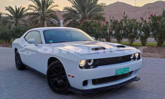 Buy New Dodge Challenger White Car in Masqat in Masqat Buy New Dodge Challenger White Car in Masqat in Masqat