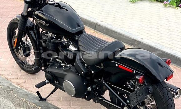 Buy Used Harley Davidson Street Black Bike in Muscat in Masqat Buy Used Harley Davidson Street Black Bike in Muscat in Masqat