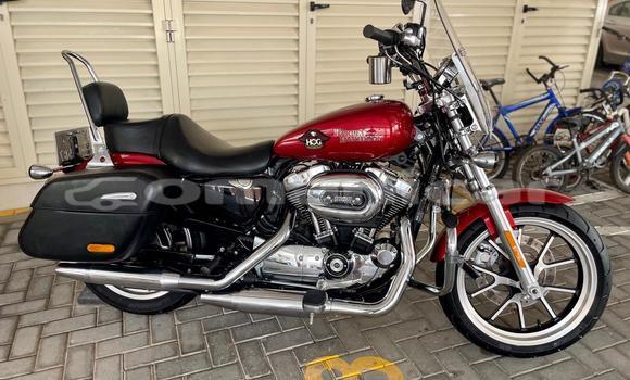 Buy Used Harley Davidson SUPERLOW Red Bike in Muscat in Masqat Buy Used Harley Davidson SUPERLOW Red Bike in Muscat in Masqat