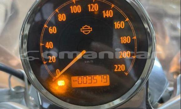 Buy Used Harley Davidson SUPERLOW Red Bike in Muscat in Masqat Buy Used Harley Davidson SUPERLOW Red Bike in Muscat in Masqat